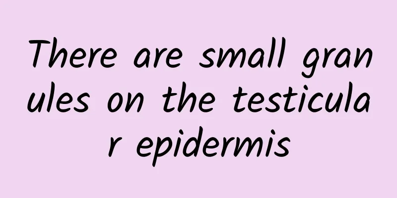 There are small granules on the testicular epidermis