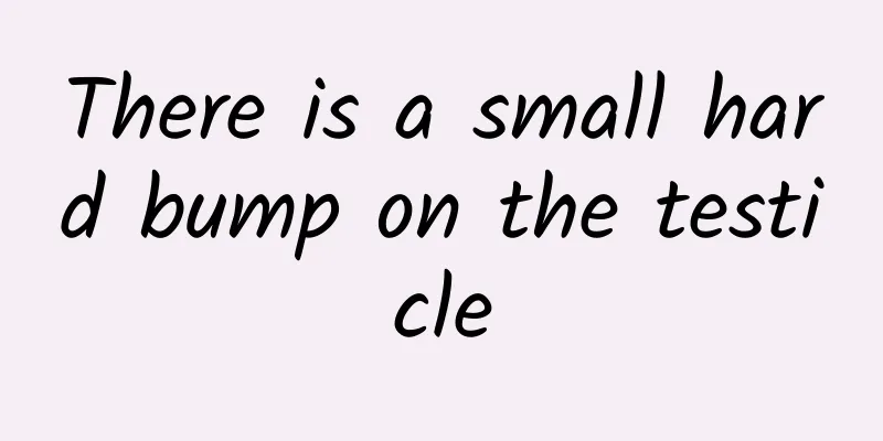 There is a small hard bump on the testicle