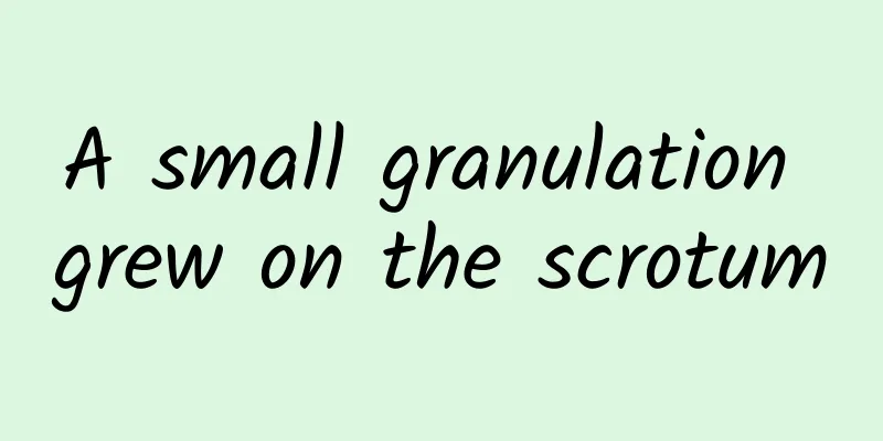 A small granulation grew on the scrotum