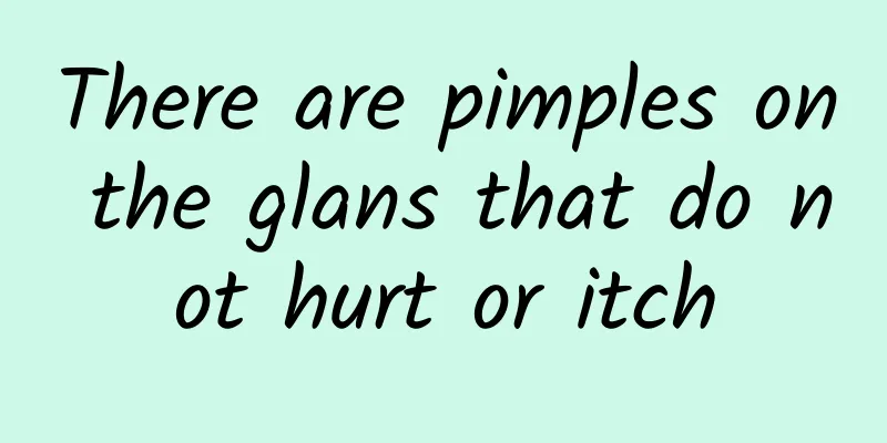 There are pimples on the glans that do not hurt or itch