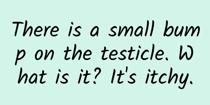 There is a small bump on the testicle. What is it? It's itchy.