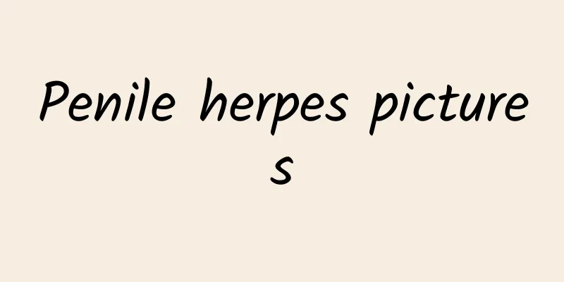 Penile herpes pictures