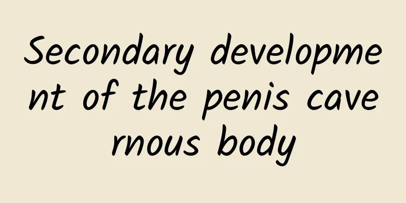 Secondary development of the penis cavernous body