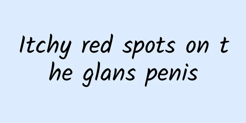Itchy red spots on the glans penis