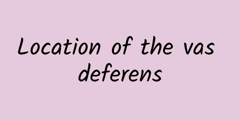 Location of the vas deferens