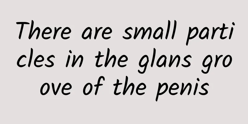 There are small particles in the glans groove of the penis