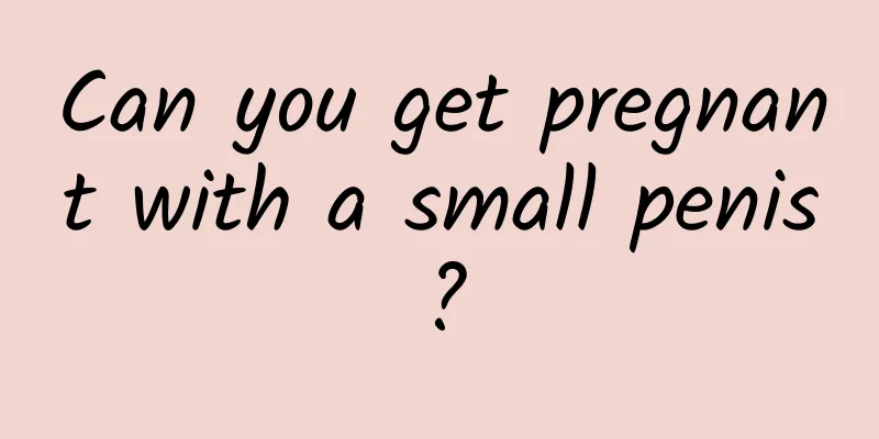 Can you get pregnant with a small penis?