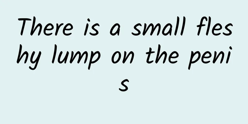 There is a small fleshy lump on the penis