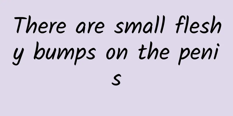 There are small fleshy bumps on the penis
