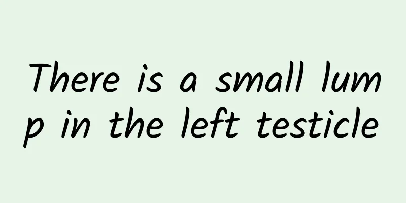 There is a small lump in the left testicle