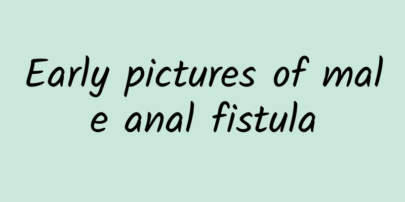 Early pictures of male anal fistula