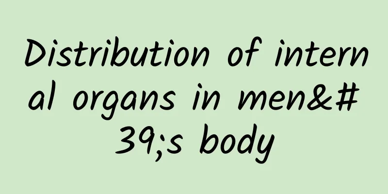 Distribution of internal organs in men's body