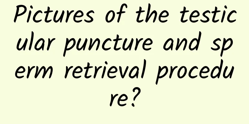 Pictures of the testicular puncture and sperm retrieval procedure?