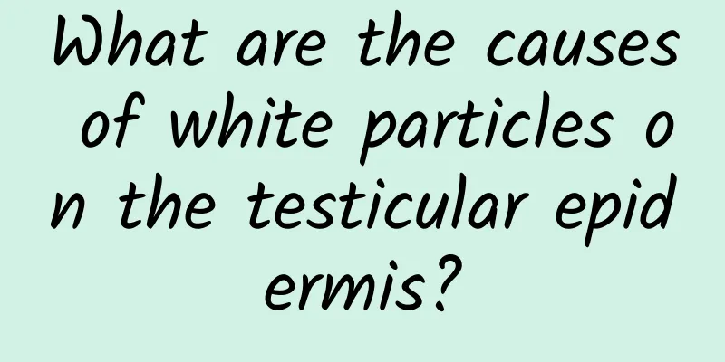 What are the causes of white particles on the testicular epidermis?