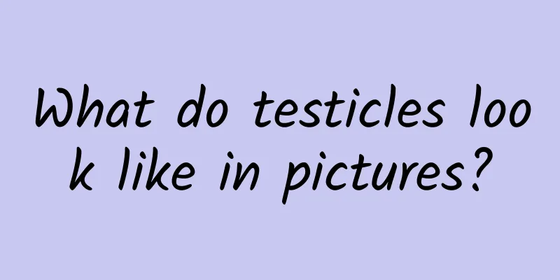 What do testicles look like in pictures?