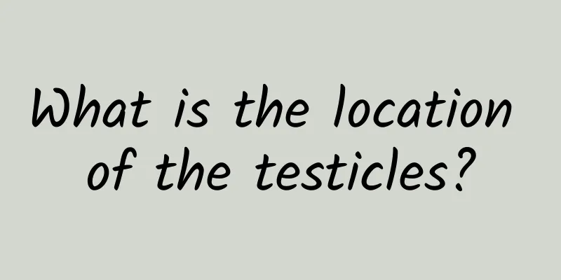 What is the location of the testicles?