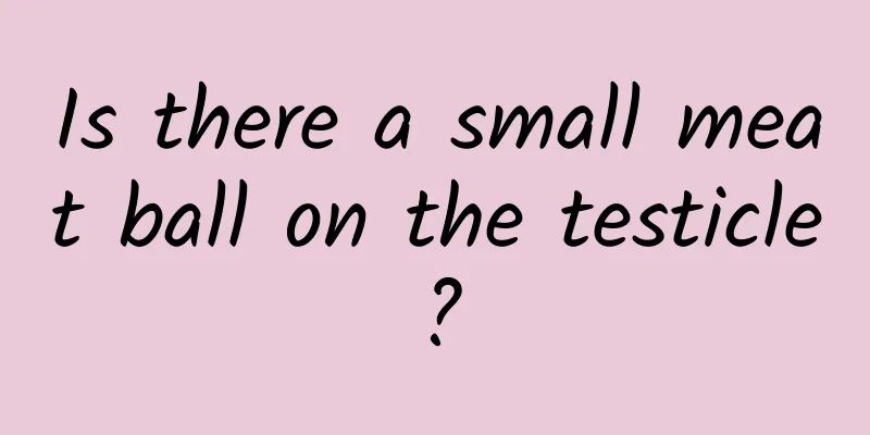 Is there a small meat ball on the testicle?