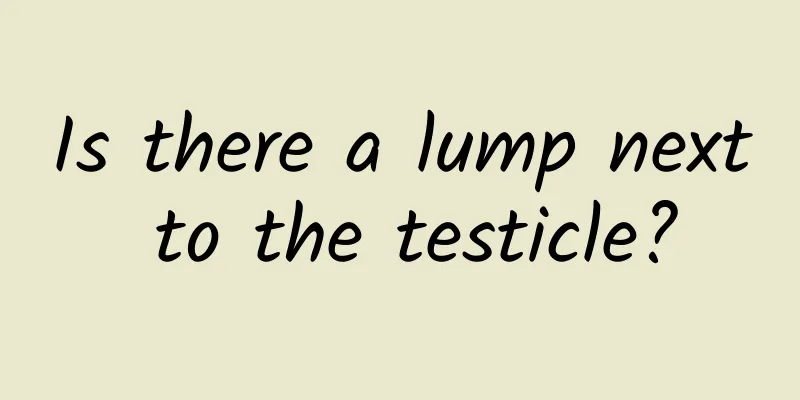 Is there a lump next to the testicle?