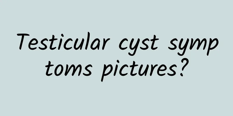 Testicular cyst symptoms pictures?