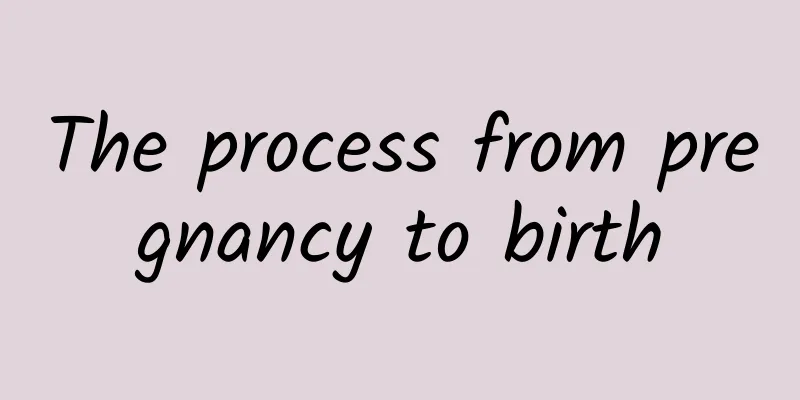 The process from pregnancy to birth