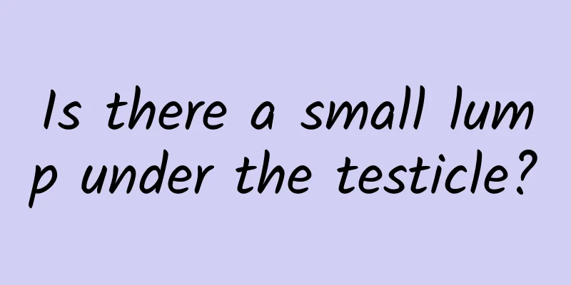 Is there a small lump under the testicle?