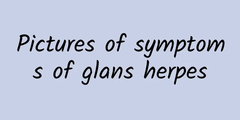 Pictures of symptoms of glans herpes
