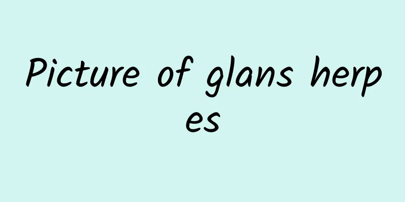 Picture of glans herpes