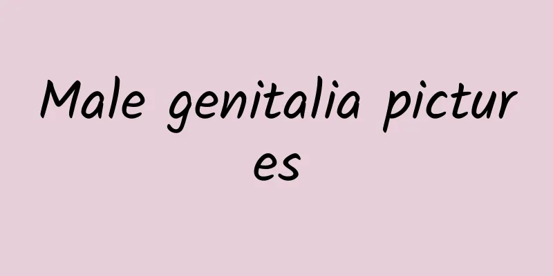 Male genitalia pictures