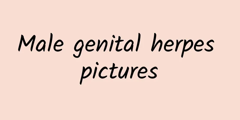Male genital herpes pictures