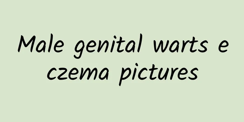 Male genital warts eczema pictures