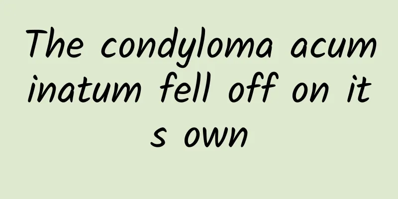 The condyloma acuminatum fell off on its own