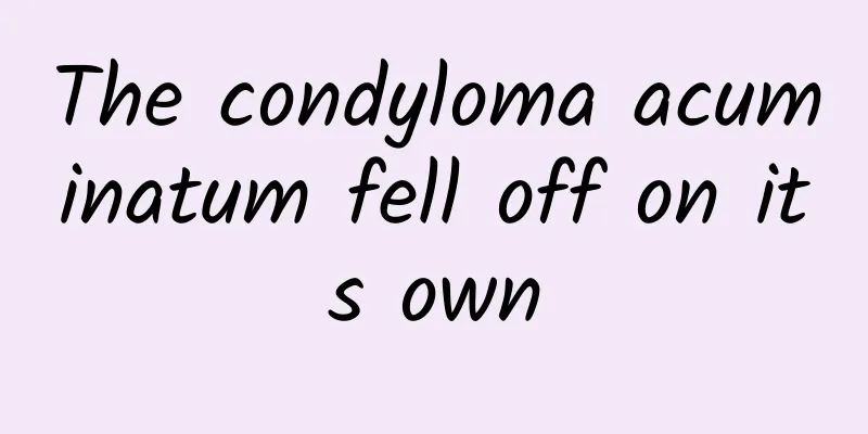 The condyloma acuminatum fell off on its own