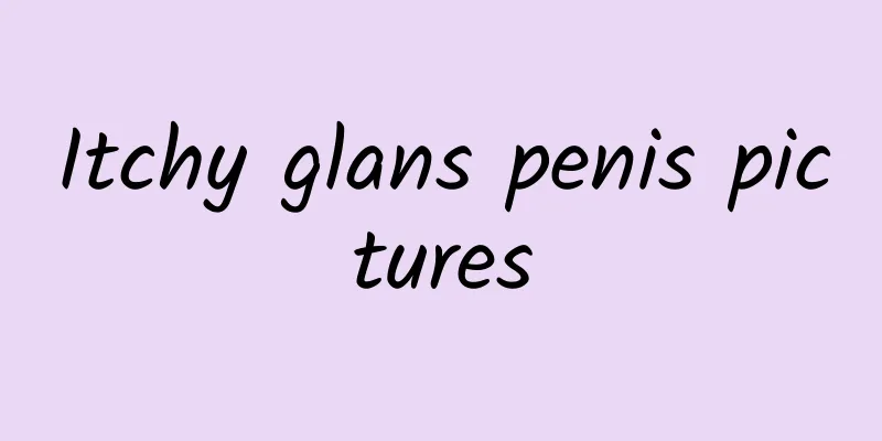 Itchy glans penis pictures