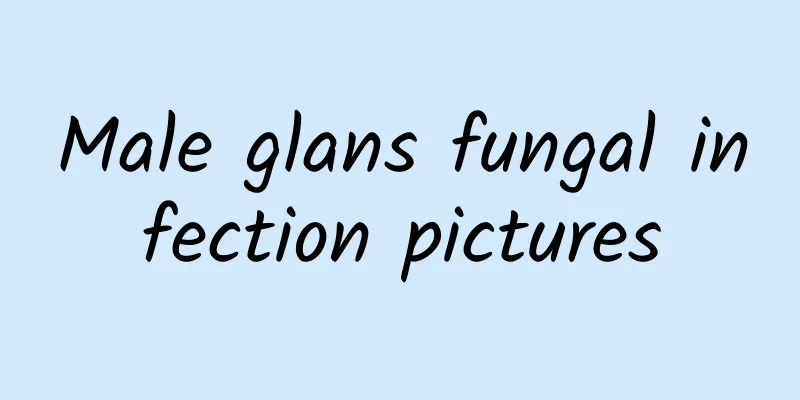 Male glans fungal infection pictures