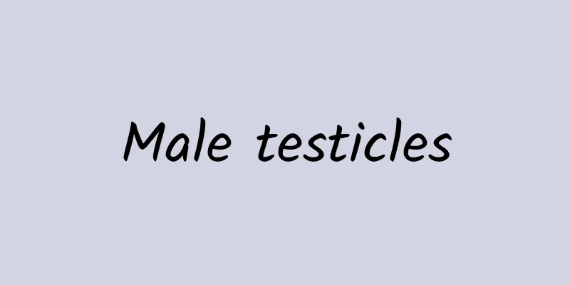 Male testicles
