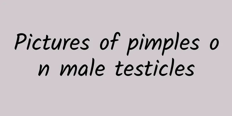 Pictures of pimples on male testicles
