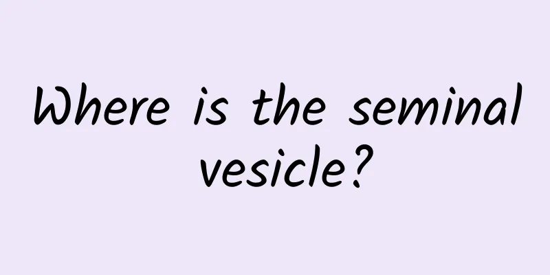 Where is the seminal vesicle?