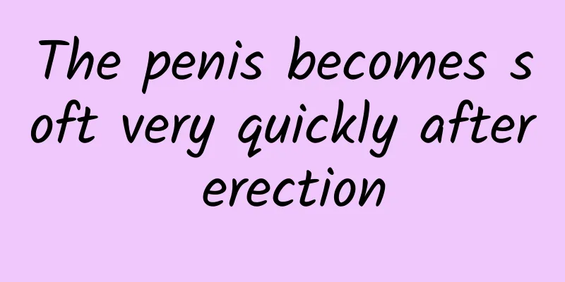 The penis becomes soft very quickly after erection