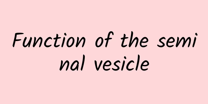 Function of the seminal vesicle