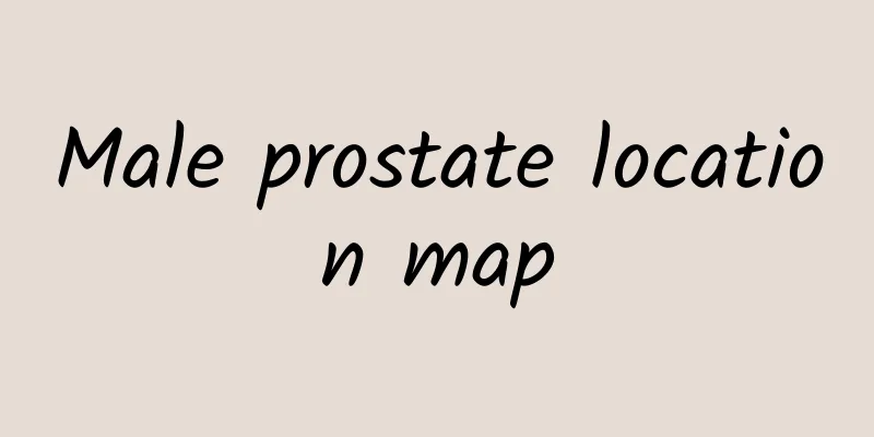 Male prostate location map