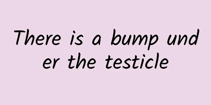 There is a bump under the testicle