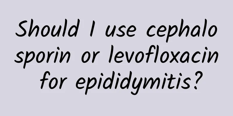 Should I use cephalosporin or levofloxacin for epididymitis?