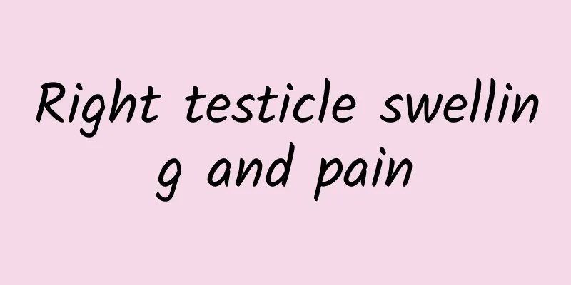 Right testicle swelling and pain