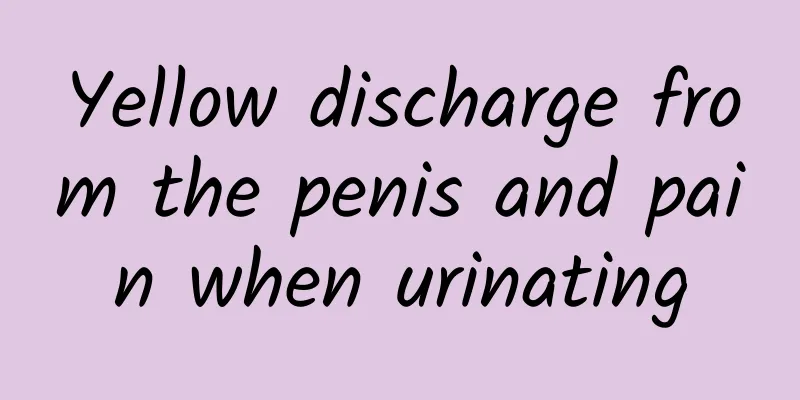 Yellow discharge from the penis and pain when urinating