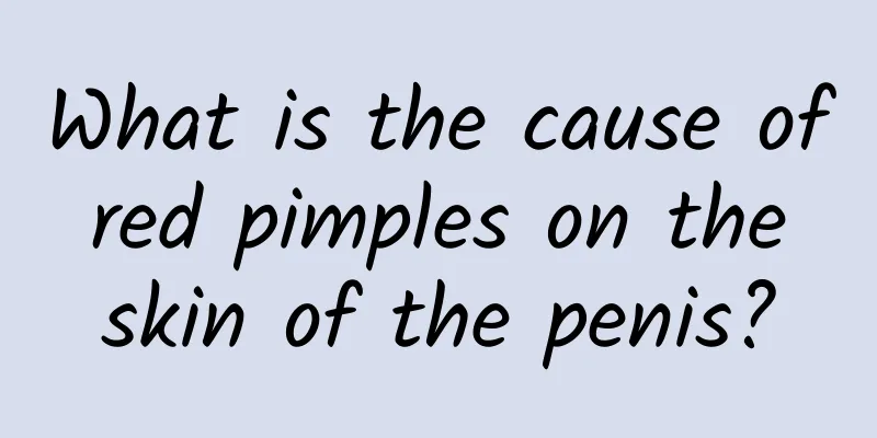 What is the cause of red pimples on the skin of the penis?