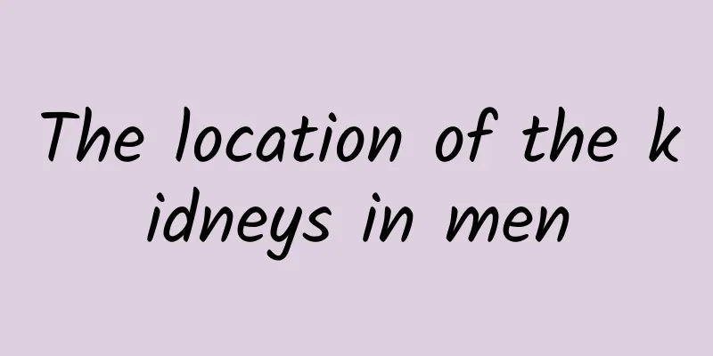 The location of the kidneys in men