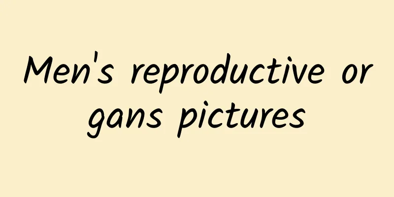 Men's reproductive organs pictures