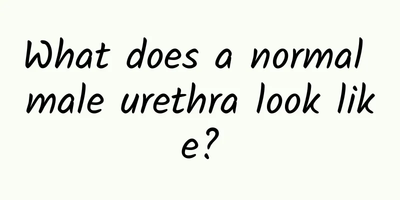 What does a normal male urethra look like?