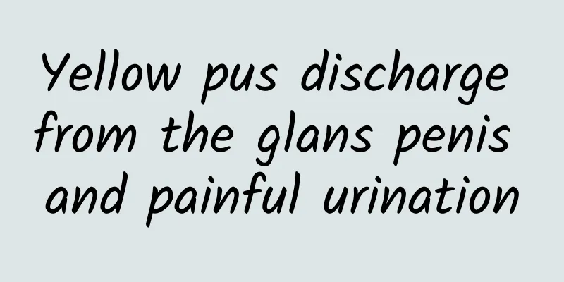 Yellow pus discharge from the glans penis and painful urination