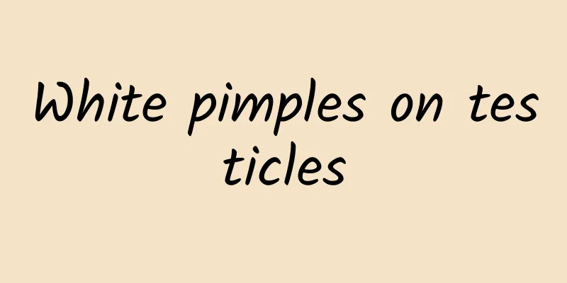 White pimples on testicles